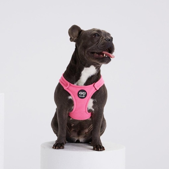 MOSHIQA Pink Padded Dog Cat Pet Harness Soft Buckle Checkers Frenchie Chihuahua - Picture 3 of 16